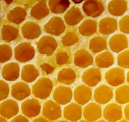 honeycomb-267x251