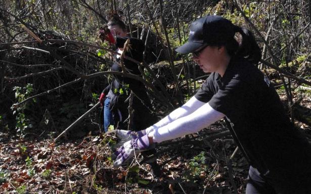 sarah-pulling-weeds-615x384