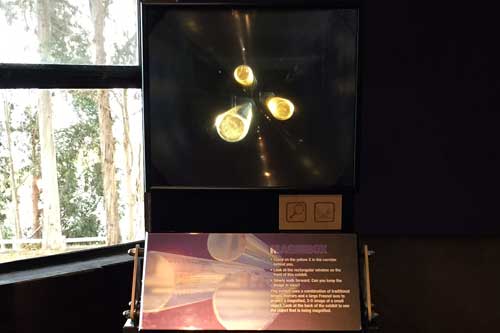 RP-MagniboxExhibit-500x333