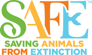 Saving Animals from Extinction
