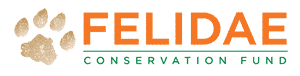 Felidae Conservation Fund logo