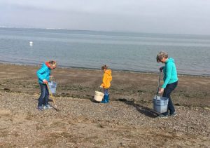 Three volunteers holding buckets cleanup beach