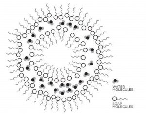 The Physics Behind the Bubble Cascade That Forms in a Glass of