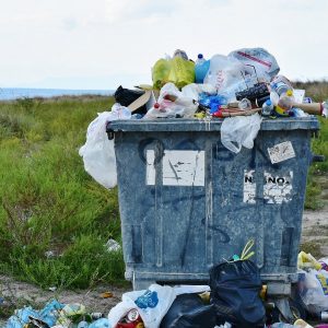 Single-use plastic bag pollution