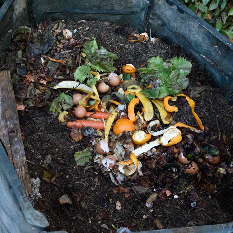 Vegetable scraps in a pile of soil