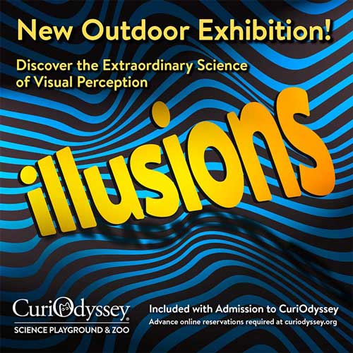 Illusions outdoor exhibition