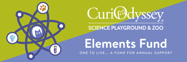 Banner - Elements Campaign