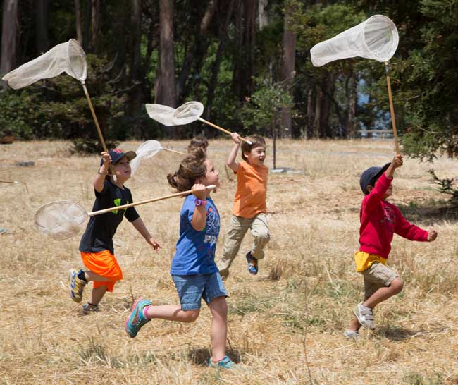 Kids run across field while holding up butterfly nets