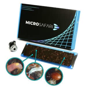 insect science kit