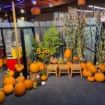 Pumpkins available with donation