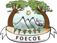 Logo for FOECOE