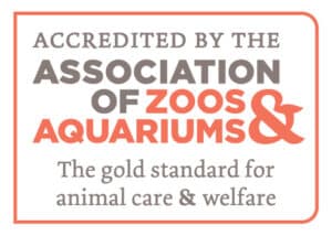 Logo. Accredited by the Association of Zoos and Aquariums. The gold standard for animal care and welfare.