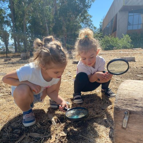 Two preschool girls crouch down in CuriOdyssey's eucalyptus grove. They both have magnifying glasses and are examining something on the ground.