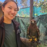 Wildlife Apprentice Ariana with Yzma, a Swainson's Hawk