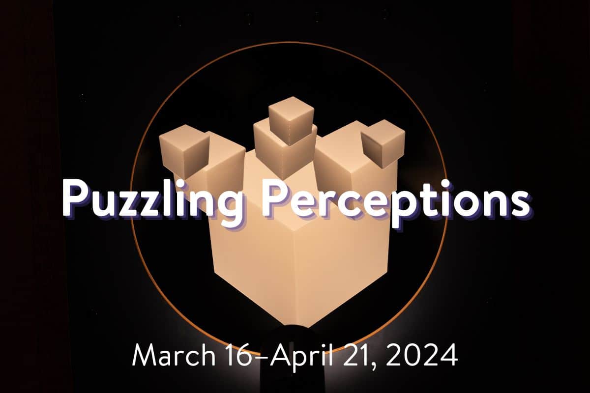 Puzzling Perceptions. March 16 through April 21, 2024