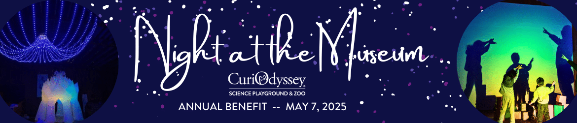 A starry night sky background with bold text that reads 'Night at the Museum.' Below, the CuriOdyssey logo is displayed, followed by additional text stating 'Annual Benefit, May 7, 2025.' In the foreground, children are playing in front of a glowing light exhibit, their silhouettes casting dynamic shadows on the wall behind them.