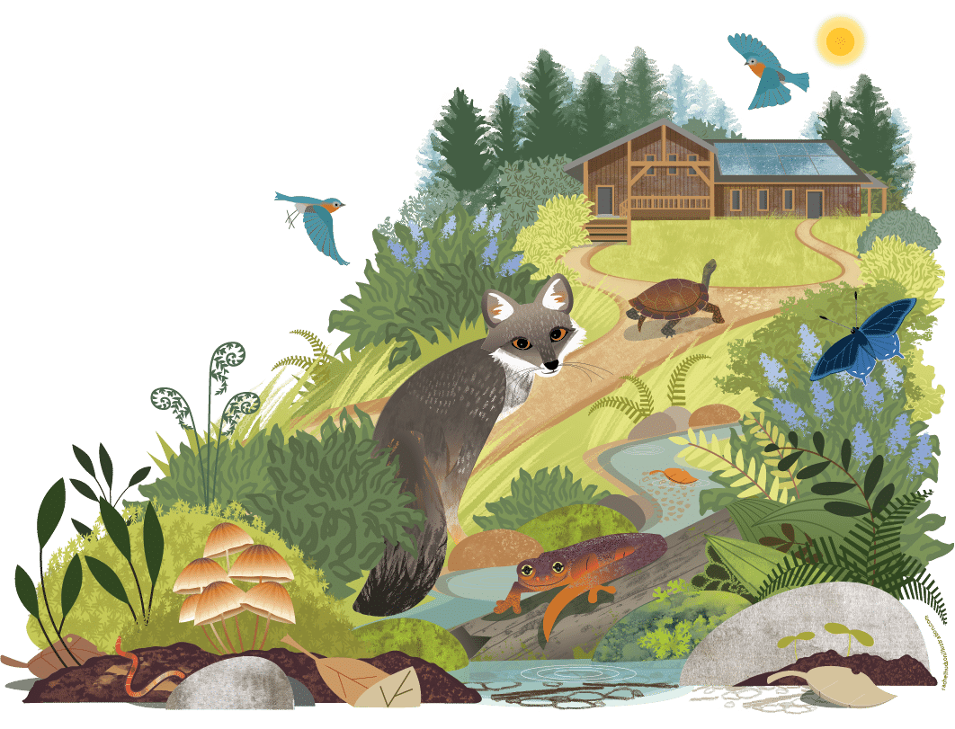 Illustration of CuriOdyssey Nature Story Loop. A group of animals walk along a path in front of a wood bulding. The roof of the building has solar panels.