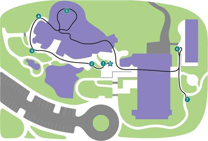 Welcome to nature story loop(1)