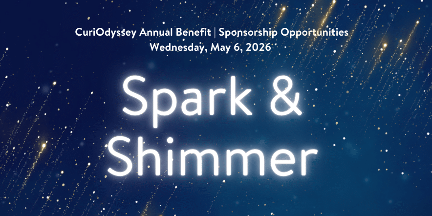 Logo banner for the CuriOdyssey Annual Benefit with the night sky and stars in the background.