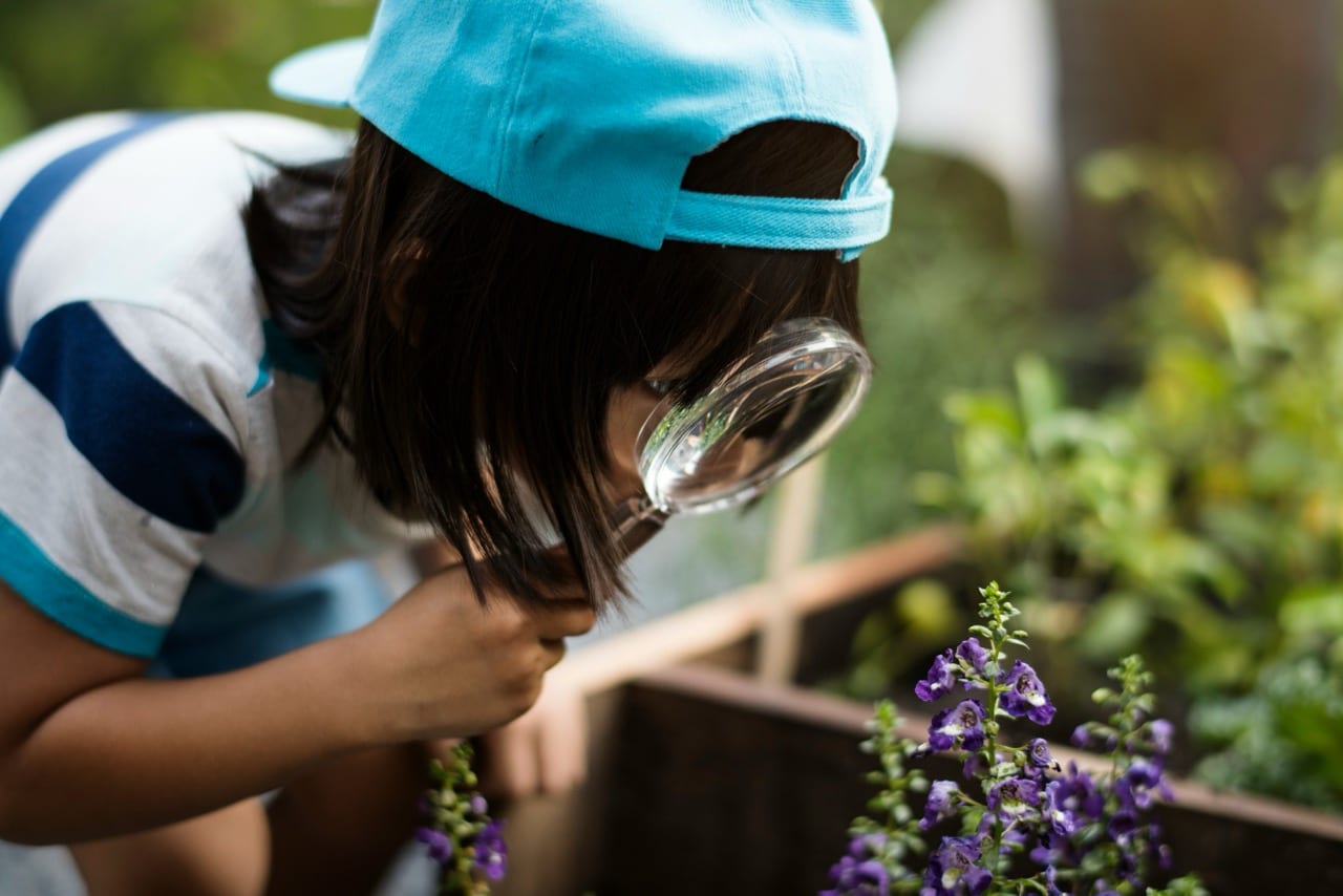 Girl looking at a flower with a magnifying glass.