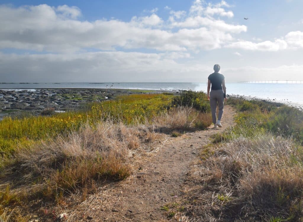 A person walking into the Marsh on the access trail. The trail is made of gravel and is just wide enough for one person to walk, with plants on either side. The Marsh is to the left of the trail, and the Bay is to the right of the trail. 