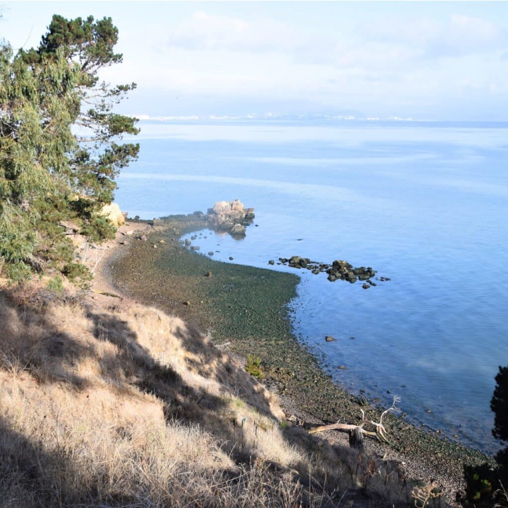A photo of the Rocky Beach from above. The beach is covered with stones, and there is a small rocky island in the water. A pine tree sticks out of the grassy hillside above the beach. The Bay water is smooth, and land is visible across the water.
