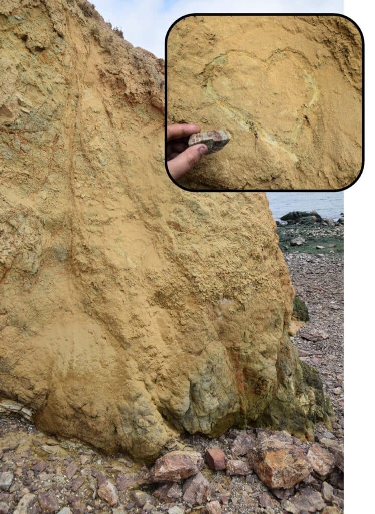 A photo of a yellowy-orange sandstone cliff on the Rocky beach, with a heart etched into it. An inset photo shows a close-up of the heart, with a hand holding a red-and-green mottled rock that was used to etch the heart. 