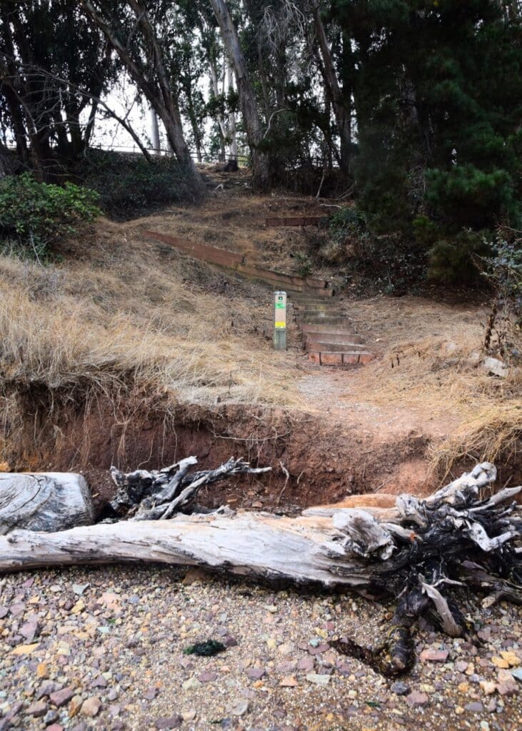  A photo of the Cove Trail, as seen from the Rocky Beach. The base of the trail is behind a large driftwood log, and it starts with a big step up a small sandy cliff. Above the cliff is a section of gravel trail, leading up to a set of winding wooden stairs. A wooden post with green and yellow signs marks the trail. The trail leads up into a grove of trees. 