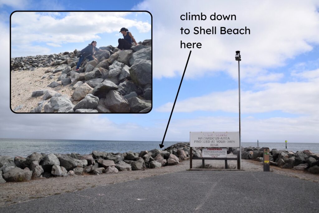 A photo of the end of the paved path of the Jetty, with boulders marking the edges on either side. At the end of the paving is a large sign that reads, “Warning, hazardous area, proceed at your own risk” in faded letters. There is a weather station pole next to the sign. Added text reads “climb down to Shell Beach here” with an arrow pointing to the boulders to the left of the sign. An inset photo shows two people climbing on boulders above the shell beach. 