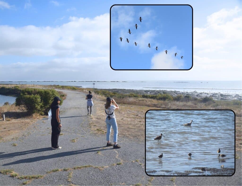 A photo of three people birdwatching at the Marsh, one with binoculars. Their shadows are long in the early morning light. Two inset photos show groups of birds; one shows a flock of geese in a V formation, and the other shows some shorebirds wading in shallow water.