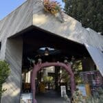Photo of the Pavilion at CuriOdyssey. It is a semi-outdoor space. In the photo there are 2 large sculptures: One of an arch woven out of branches and an axolotl suspended from the roof. Each piece is multicolored and vibrant.