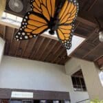 Sculpture of a large monarch butterfly suspended on the roof of the Pavilion at CuriOdyssey.