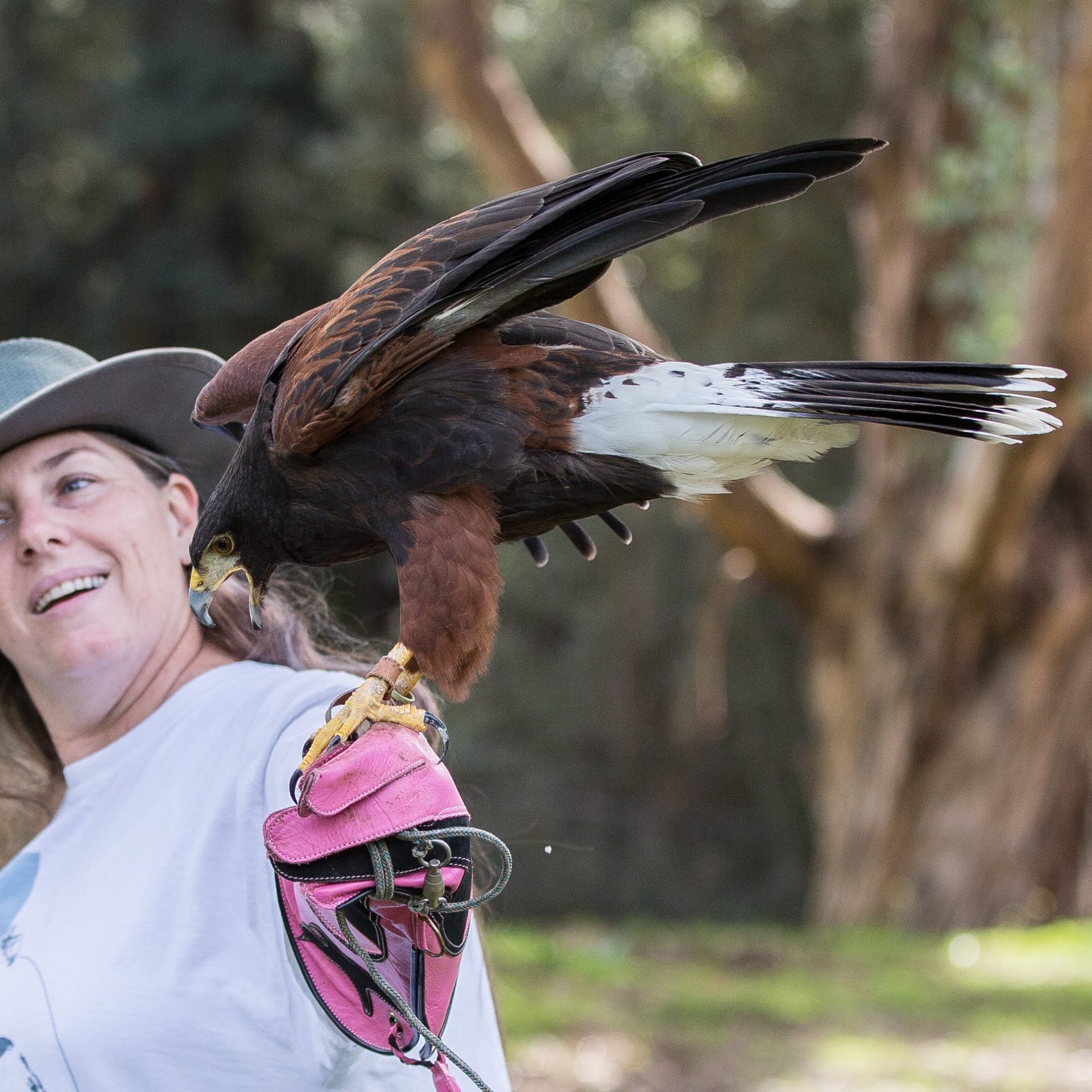 full circle falconry woman