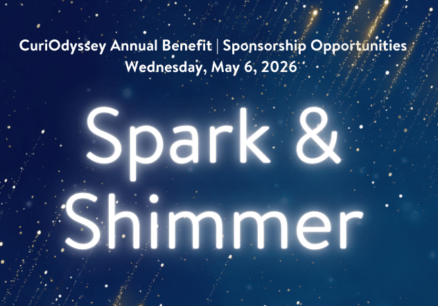 Logo banner for the CuriOdyssey Annual Benefit with the night sky and stars in the background.