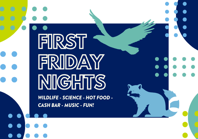 First Friday Night promotional image with silhouette of a bird and raccoon with decorative circles.