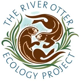 River_Otter_Ecology_Project_logo