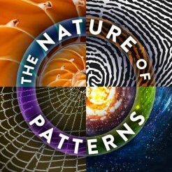 The Nature of Patterns, shell, fingerprint, spider web, stars