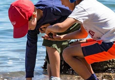 Two children explore a rocky beach