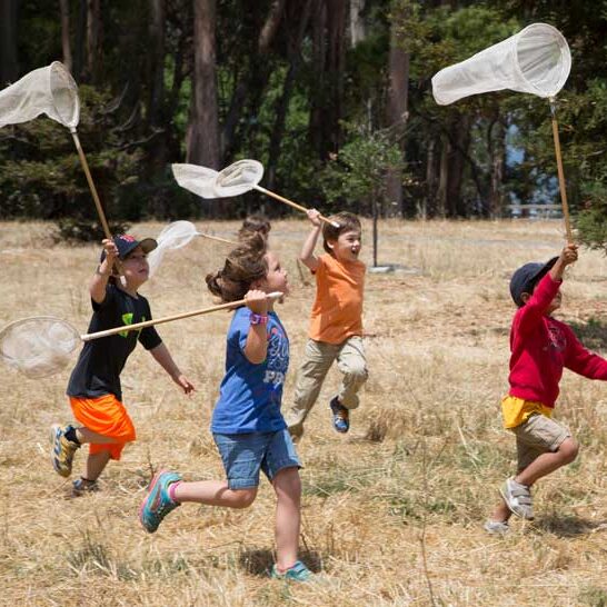 Kids run across field while holding up butterfly nets